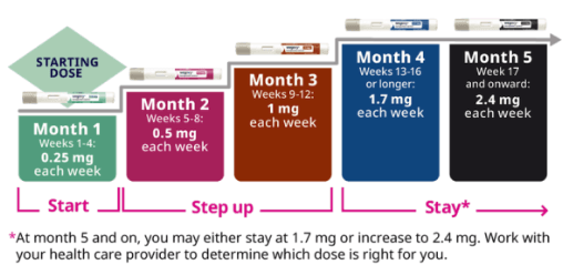 위고비 증량 스케줄